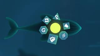 Triple Whale YouTube Video