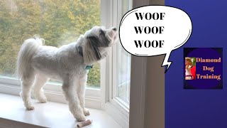 How To Stop Your Dog Barking Out The Window