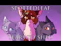SPOTTEDLEAF MAP - Tears to Shed 