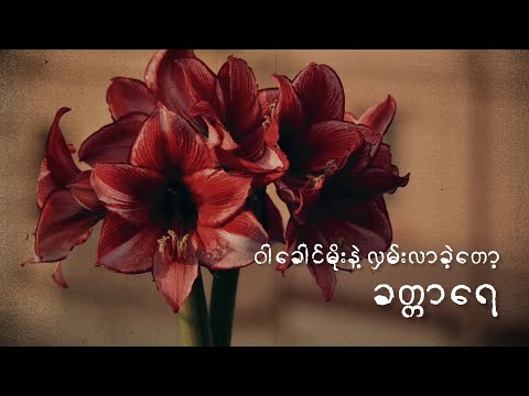 ခတ္တာ - Khat Tar  // ခိုင်ထူး - Khaing Htoo ( lyrics video )