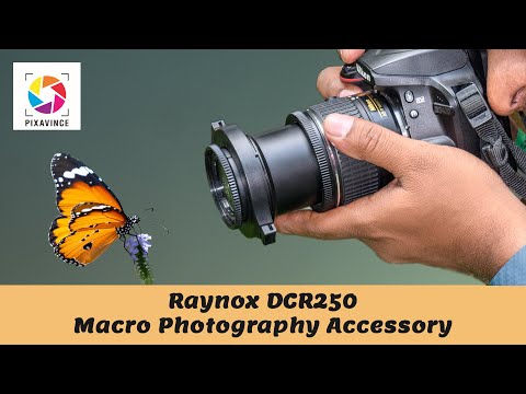 Raynox DCR250: Macro Photography Accessory