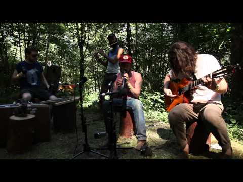 The Cave Singers - Haller Lake (Live at Pickathon)