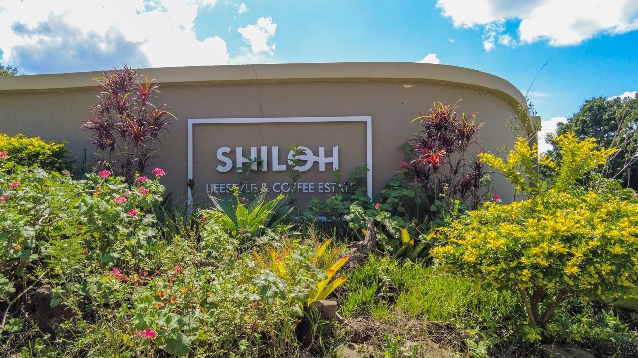 SHILOH ESTATE STAND 36 HAZYVIEW