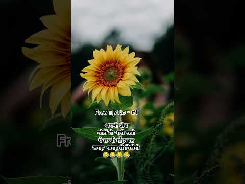 #Free Tip #1 😂😂😂 #weekly #freetip