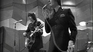THE HOLLIES  YES I WILL.wmv