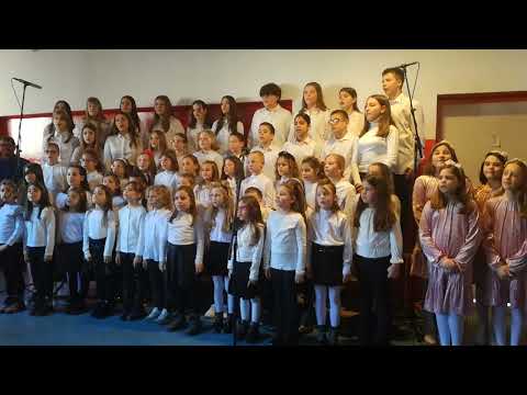 "Jedna zemlja, jedan tim", OŠ"Milan Rakić"NBG