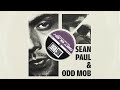 Sean Paul Odd Mob Get Busy Odd Mob Club Mix