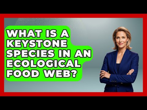 What Is A Keystone Species In An Ecological Food Web? - Explaining Ecology