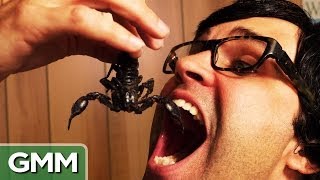 Eating a Scorpion - Bug War Challenge