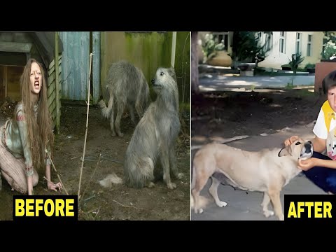 Remember Oksana, Who was raised by dogs! Now she is 39 years old and this is how her fate came out