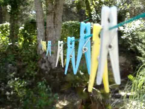 A Psi se Smáli - Jarní les na Podzim