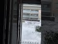 Winter Is Back With More White Snow Norway Oslo March 2021 Cinematic And Relaxing Shorts