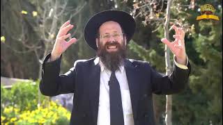 הסוד של פרשת משפטים: למה התורה דואגת לגנבים? הרב יונתן שושן (קו ההלכה הספרדי) - התמונה מוצגת ישירות מתוך אתר האינטרנט יוטיוב. זכויות היוצרים בתמונה שייכות ליוצרה. קישור קרדיט למקור התוכן נמצא בתוך דף הסרטון