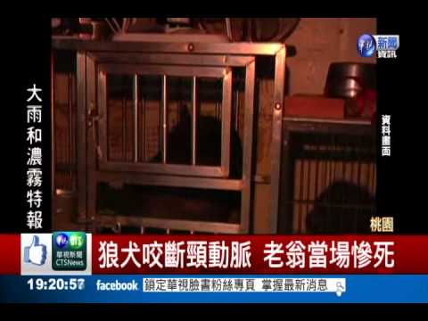 惡犬咬死鄰翁 飼主判賠147萬