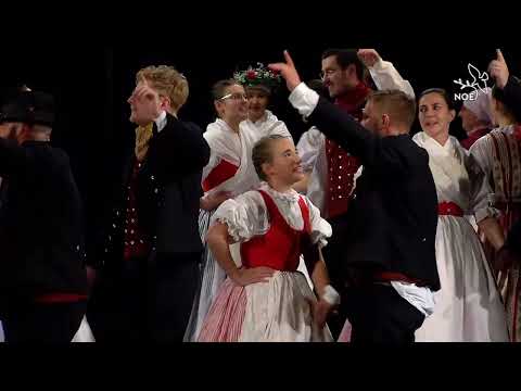 Taneční inspirace – Vrtek Opava, Gaudeamus VŠE Praha, Rosénka - Hrozénka Praha, Šáteček Nymburk