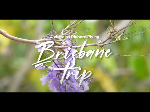 Viagem a Brisbane 2023 #brisbane #australia #queenslandaustralia #duonggiaminh #travel