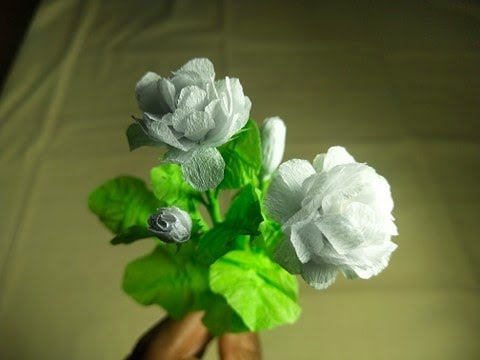 DIY Jasmine with crepe paper/Jasmine beautiful in white