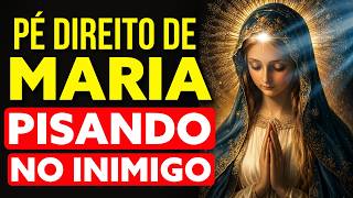 TODOS OS NÓS DESATADOS, CAMINHOS ABERTOS E TUDO DANDO CERTO | Oração à Nossa Senhora Desatadora