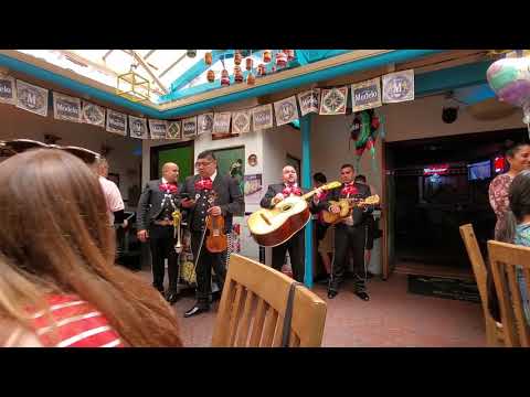 Mariachi Band Plays Baby Shark
