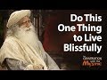 Sadhguru Juhi Chawla Do This One Thing To Live Blissfully In Conversation With The Mystic