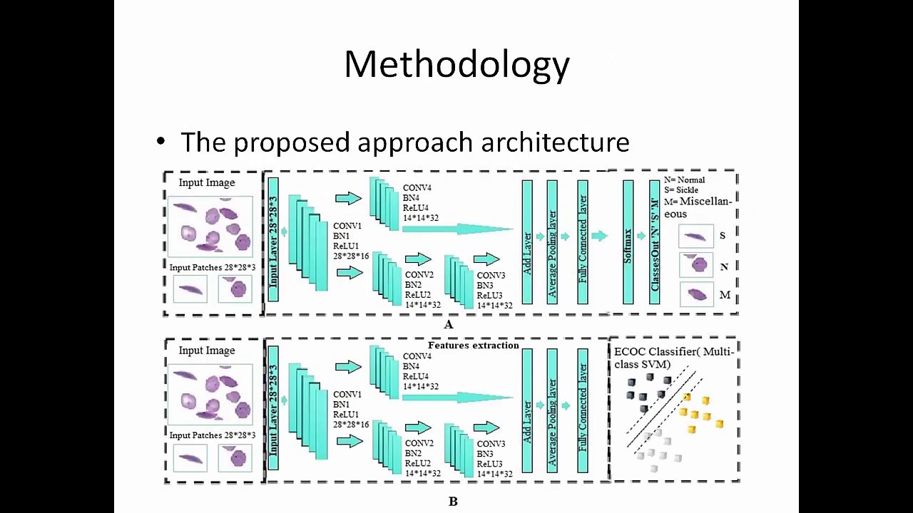 Classification of Red Blood Cells in Sickle Cell Anemia Using Deep Convolutional Neural Network