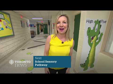 CBC News Toronto - June 12, 2019 [6pm]