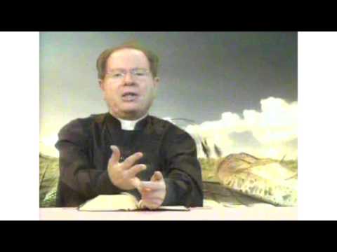 O Pão Nosso 24 Fevereiro 2016  -  Pe. F. C. Cardoso