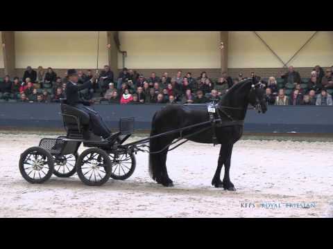 Haike 482 &#8211; Arjen x Lute