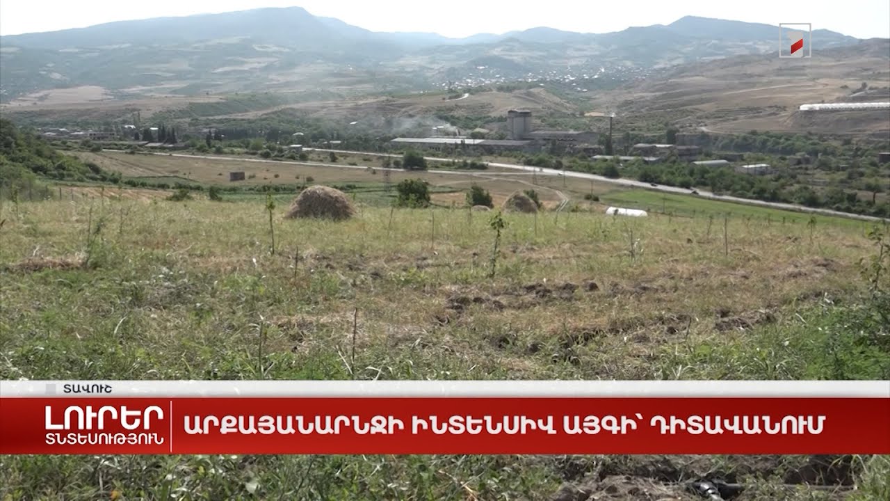 Արքայանարնջի ինտենսիվ այգի՝ Դիտավանում