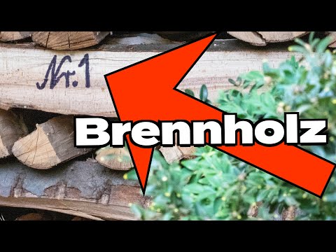 Ist Buche das beste Brennholz? Anbaufläche, Heizwert, Ascheanteil, Rohdichte