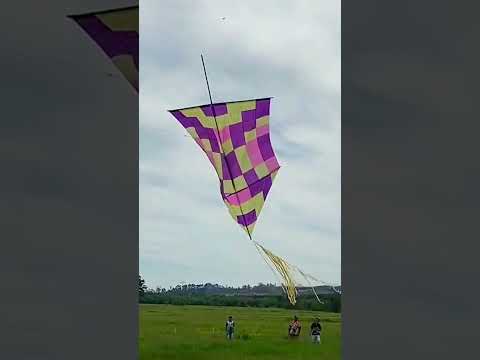 Kite season 🪁😂 #29 #shorts