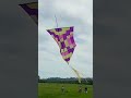 Kite Season 29 Shorts