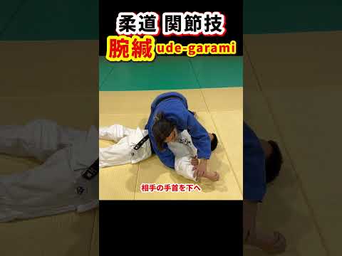 【まずはここから】基本的な腕がらみの方法を解説します。#柔道 #judo #寝技 #関節技 #腕緘 #腕がらみ #shorts