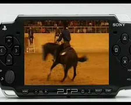 Reining * Lendi Reiners * by www.handtransfer.com