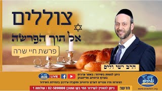 מהם הדברים החשובים במציאת זיווג ? | פרשת חיי שרה | הרב ישי וליס