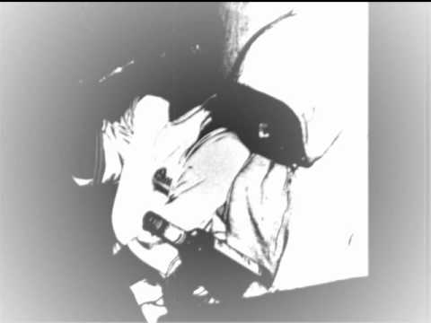 NADIE SABE DE NADIE   MSECO