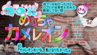 【めっちゃカメレオン】夜アソ日和だったけど全部変え忘れたカメレオン #3【かくれんぼ】
