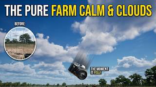 Cows Grazing & Clouds Drifting Over a Texas Sky | 30 Min of Pure Farm Calm | Relax & Unwind