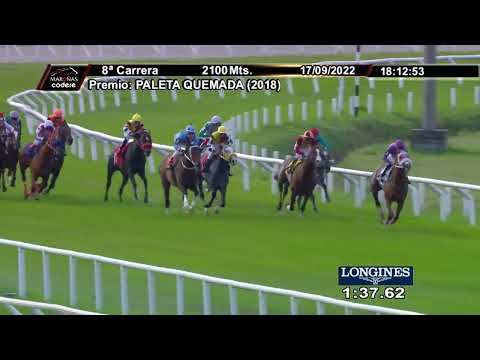 220917 c08 LEOPARDO REAL