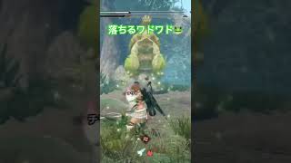 頑張って飛んだねぇ？♥️笑 #モンハン #モンハンライズ #サンブレイク #ゲーム実況 #モンハン持ち