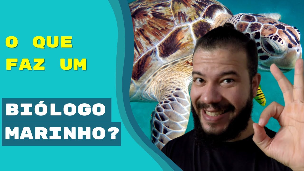 O que faz um BIÓLOGO MARINHO