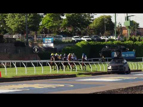 Behind the Scenes with Film Livestock Australia