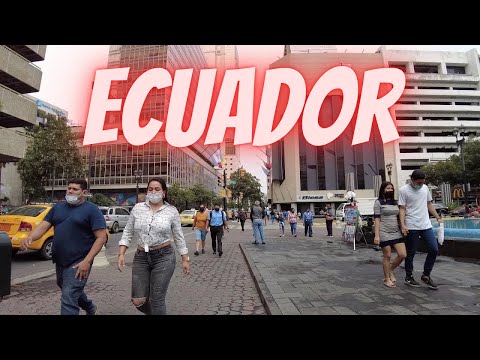 My Final Thoughts on Living in Guayaquil Ecuador