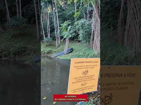 ADHERING - ASSOCIAÇÃO DESPORTIVA HERING BLUMENAU SANTA CATARINA #blumenau