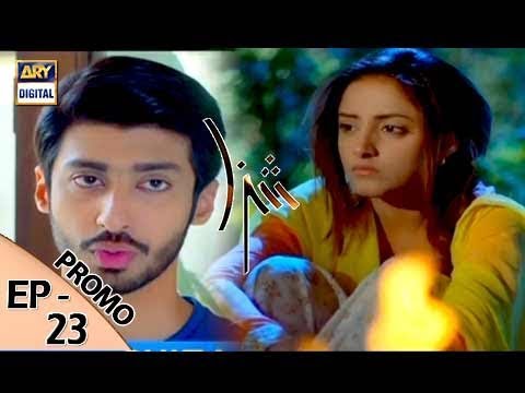 Shiza Episode 23 (Promo) ARY Digital Drama