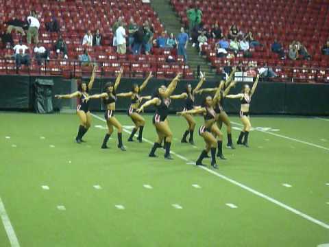 Lady Manaics Dane Team - Maryland Maniacs - Hollywood Tribute