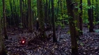 Suburban Sasquatch Hunter! episode 3: Proof!?!