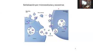 UC8 T3-Comunicación Celular