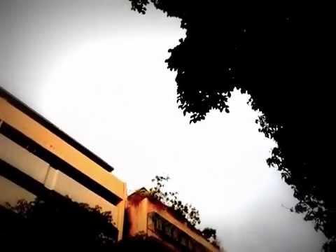 燕子成羣飛