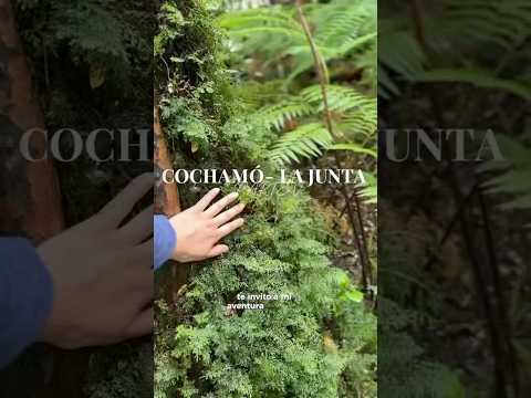 Cochamó – Trekking a La Junta y Camping Vista Hermosa | Los Toboganes Naturales y más